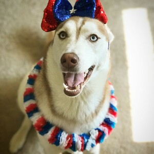 Fundraising Page: Nova PAC ALUM! 